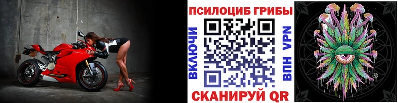 Псилоцибиновые грибы Cubensis  Волхов 